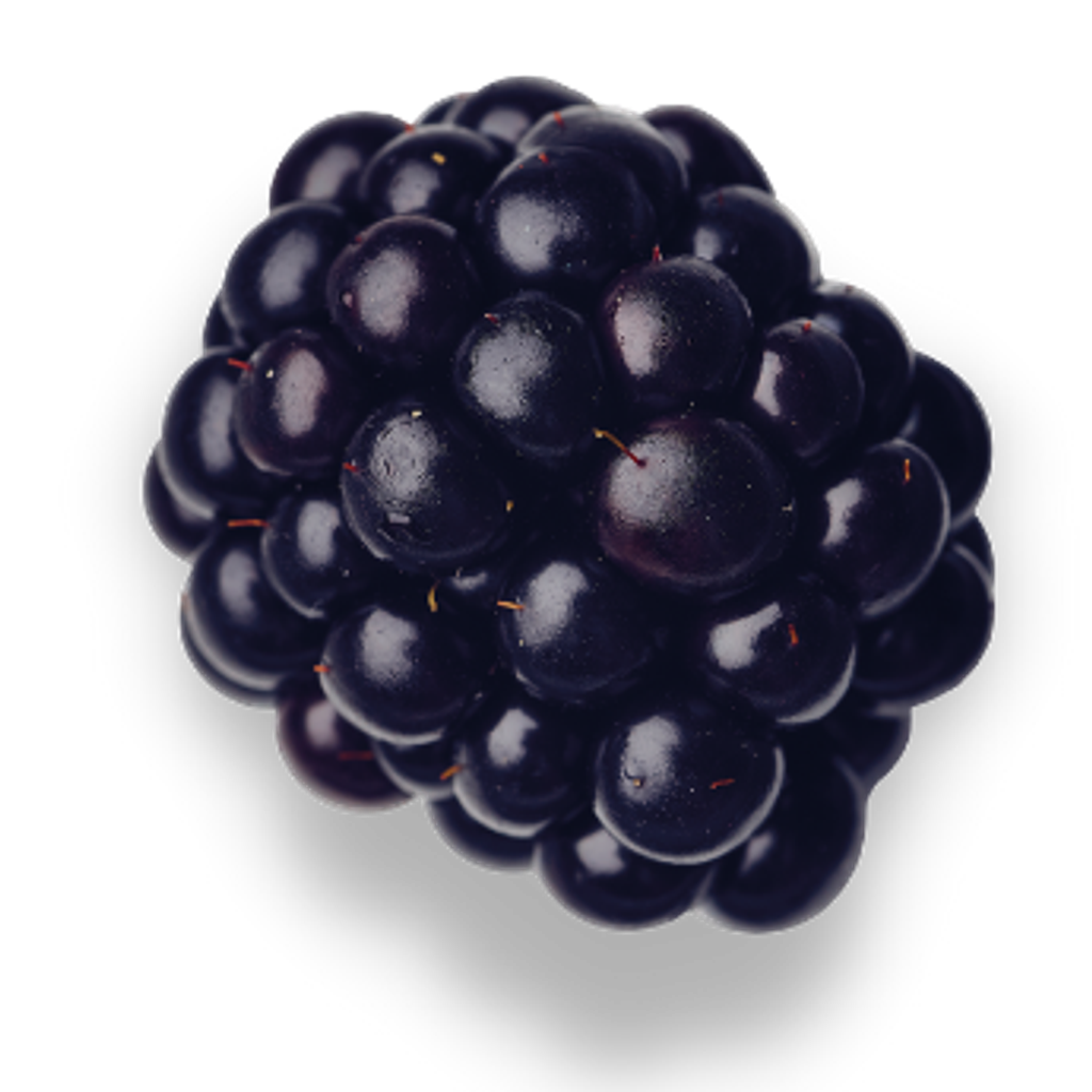 Blackberry Cutout Shadow
