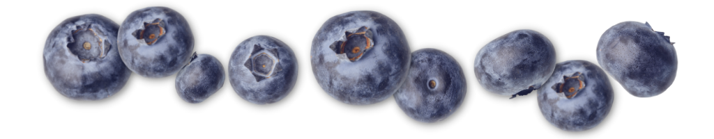 Blueberry burst strip