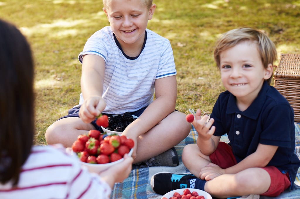 DT 170813 Berry World 1460