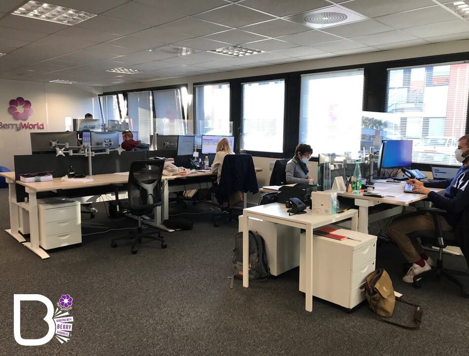 L'équipe BerryWorld France