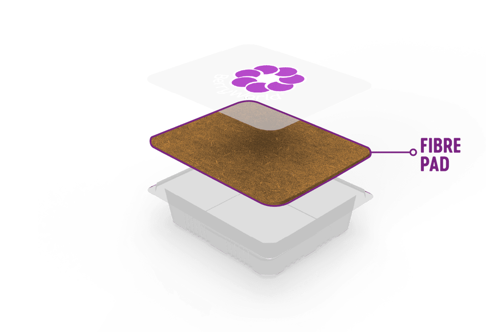 PAD