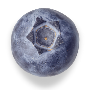 Blueberries