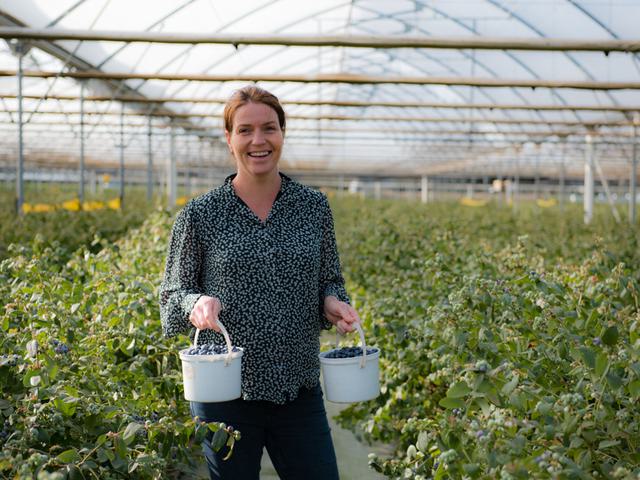 Berry Experts Season Five