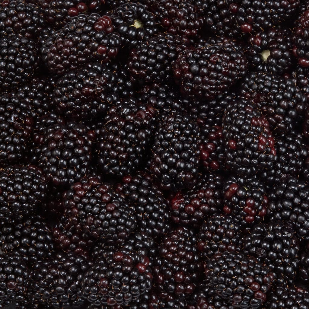 Blackberry