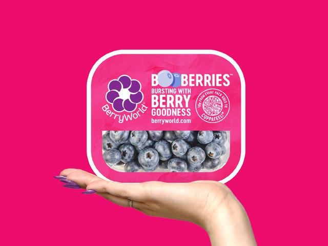 Booberries™