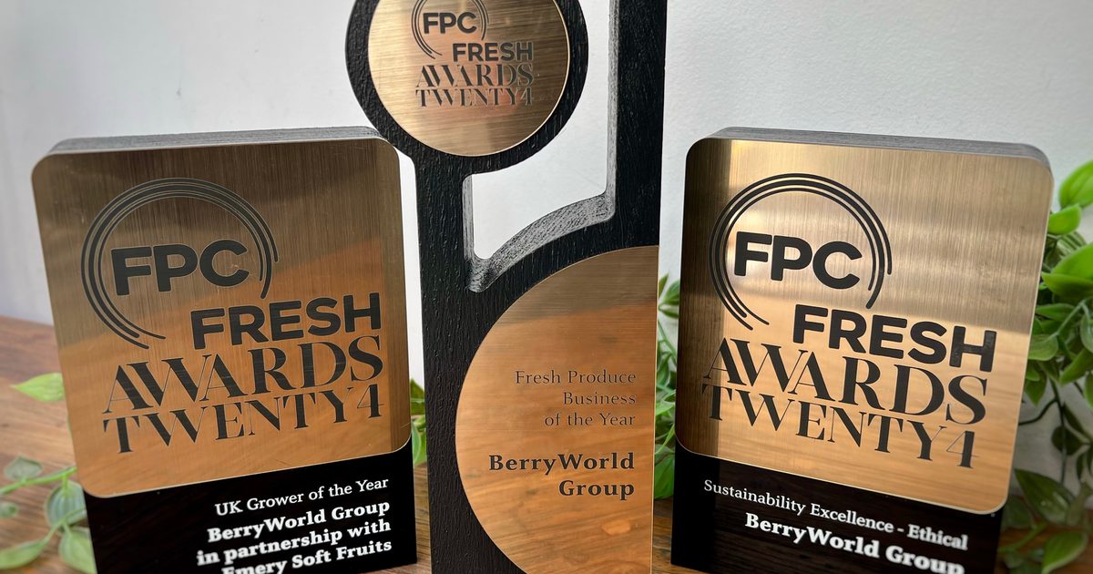 Fpc Brand BerryWorld | We are Fresh Produce Business of the Year