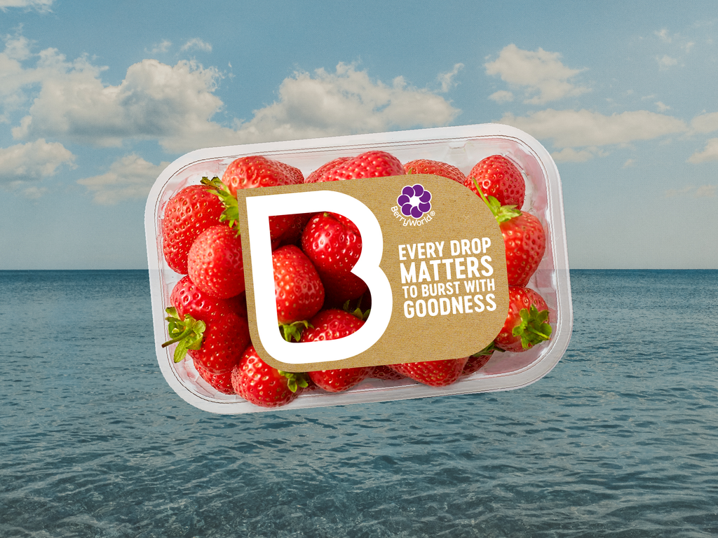 Microsoft Teams image 312