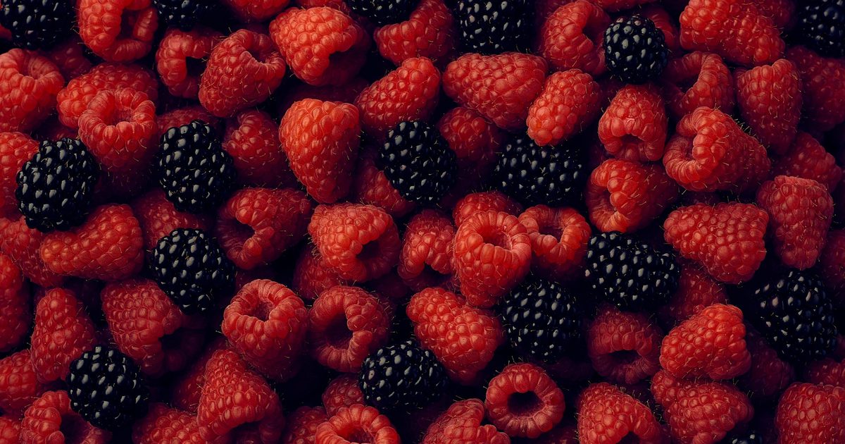 BerryWorld | Les bénéfices des fruits rouges tout au long de la…