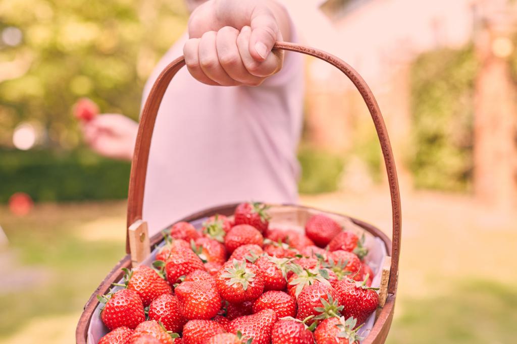 Kids 0144387 75e941mvu