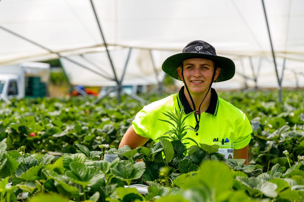 179 Kaipaki Berries 15 Dec2020 3600px