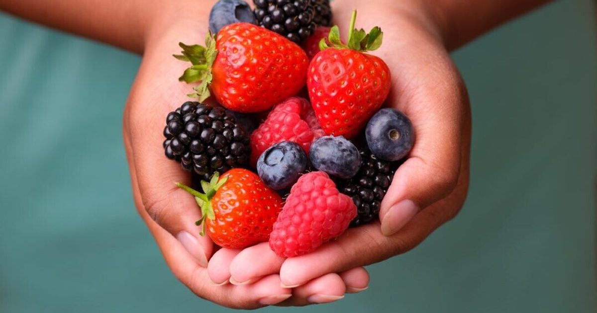 Reyes Raspberry Award-winning berry varieties | BerryWorld