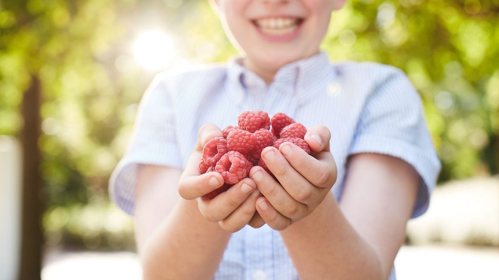 Raspberries