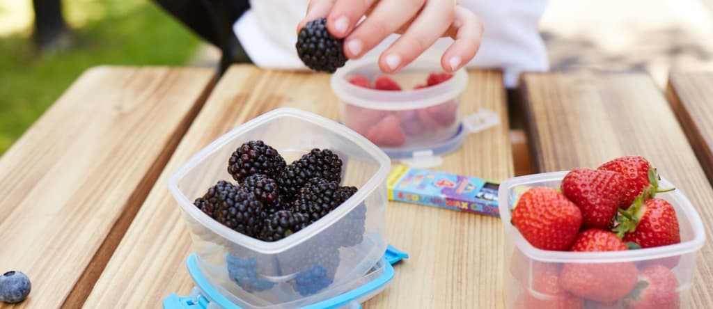 School berry snacks 75ecngrx4